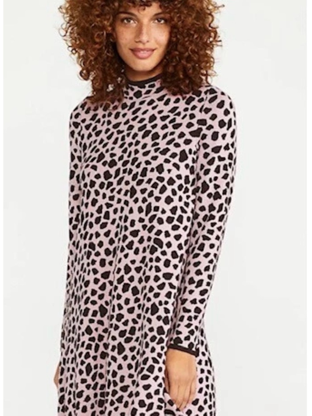 Ann Taylor Pink and Brown Animal-Print Long Sleeve Shift Dress